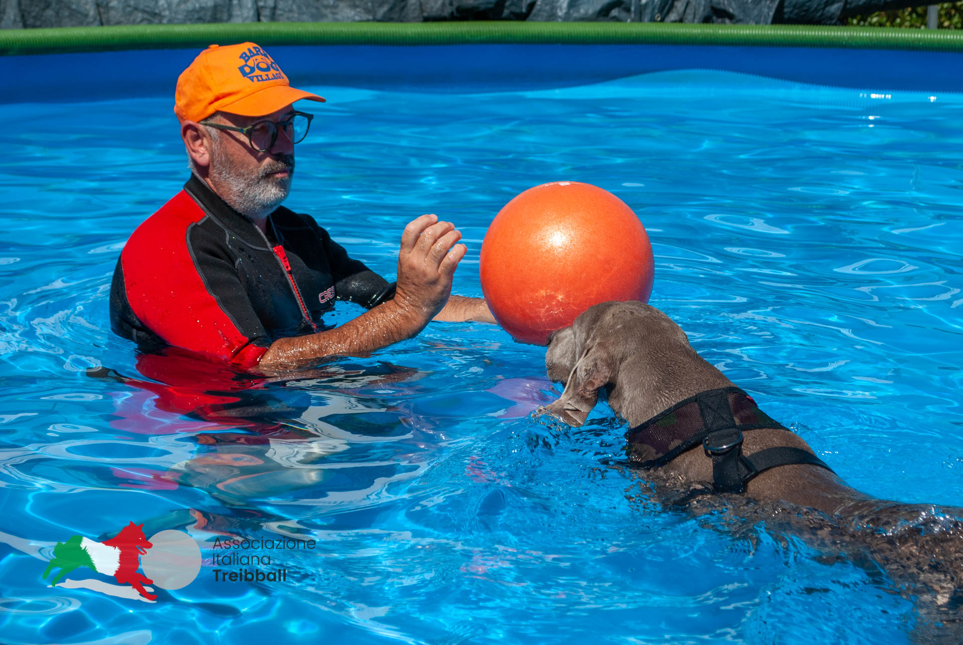 Stella Canis - Swimball®
