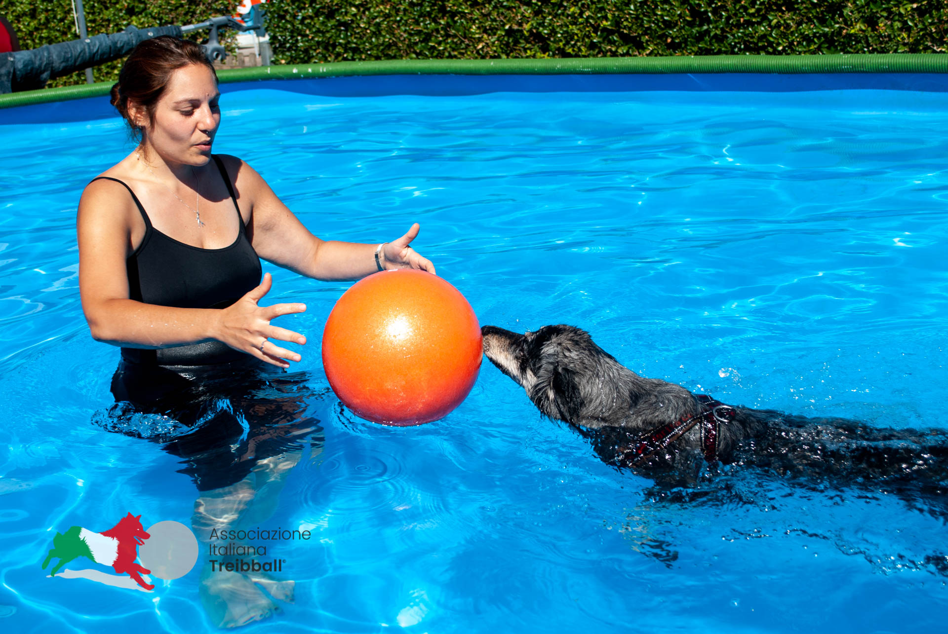 Stella Canis - Swimball®
